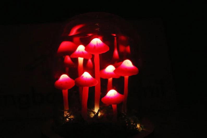 Red Mushroom Light