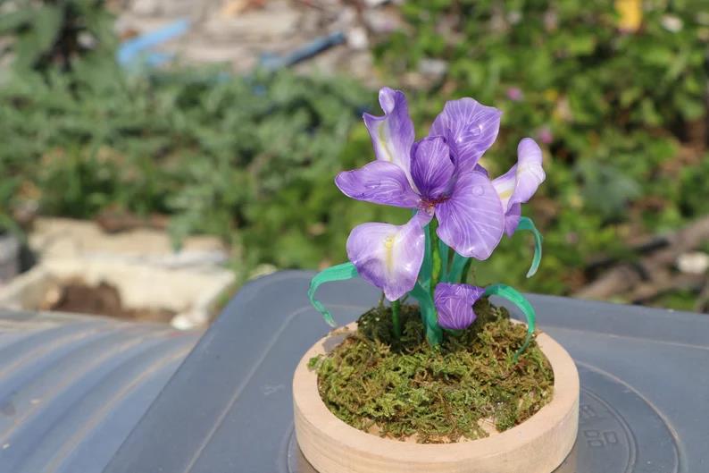 Violet Night Light