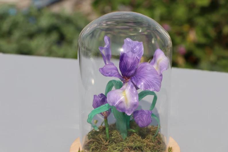 Violet Night Light