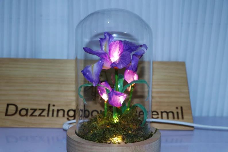 Violet Night Light