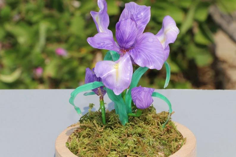 Violet Night Light