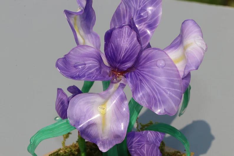 Violet Night Light