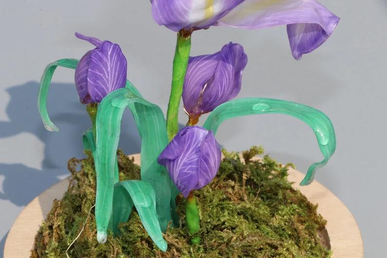 Violet Night Light