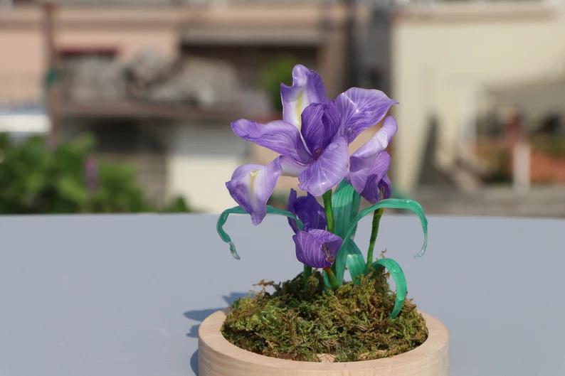 Violet Night Light
