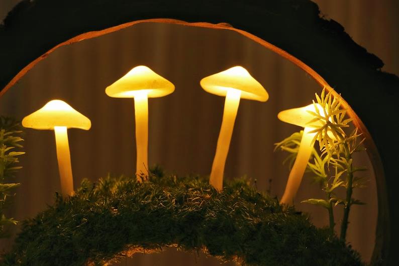 Mushroom Growing In Forest