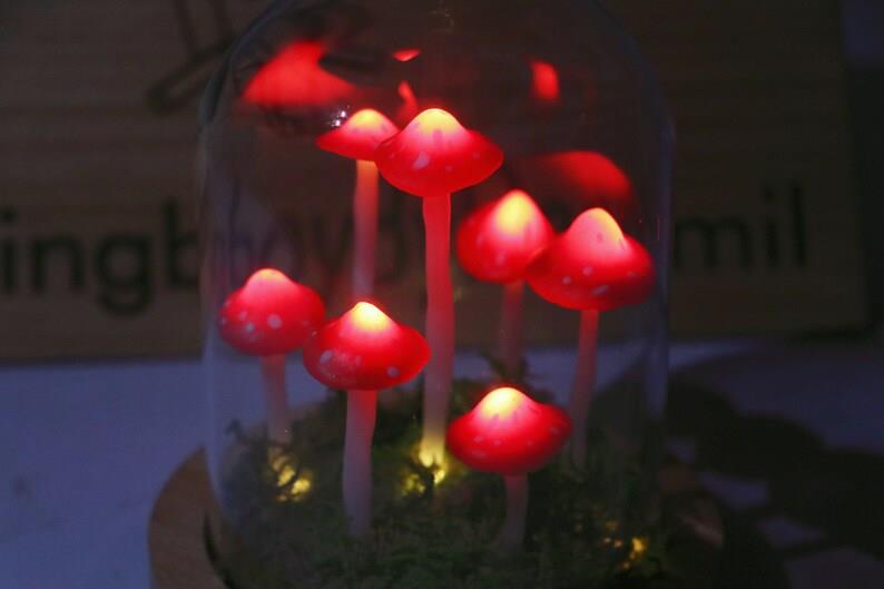 Red Mushroom Light