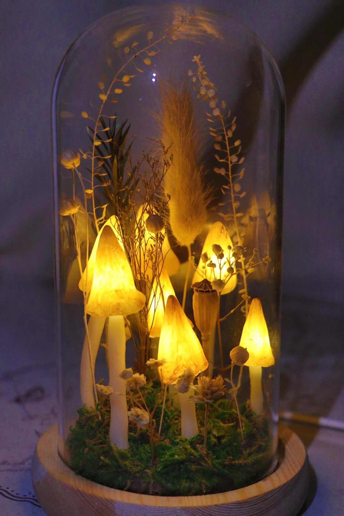 Handmade Yellow Mushroom Glass Dome Night Light, Dried Flower Moss Terrarium Bedside Lamp
