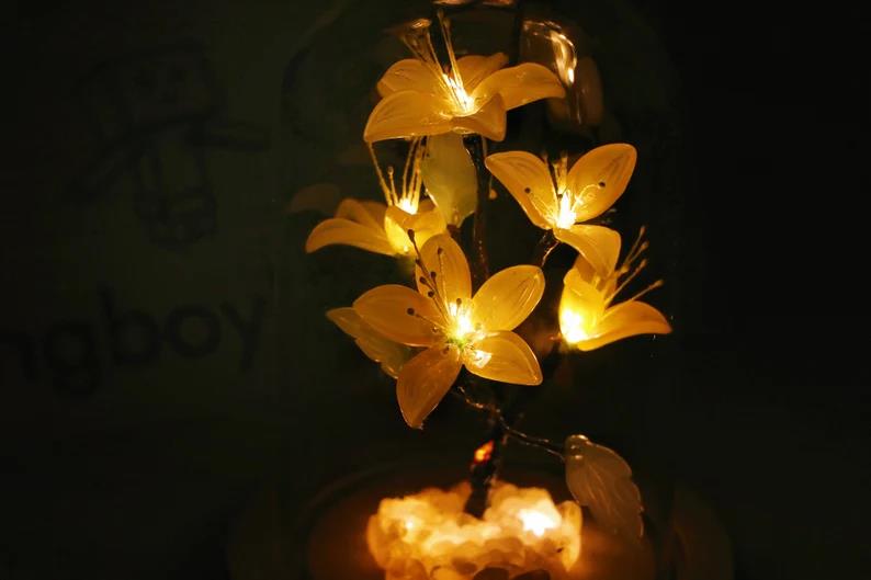 Apricot Blossom Night Light