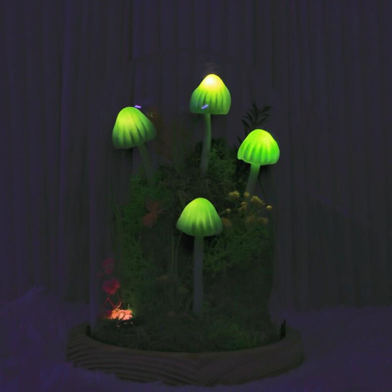 Forest Mushroom Night Light