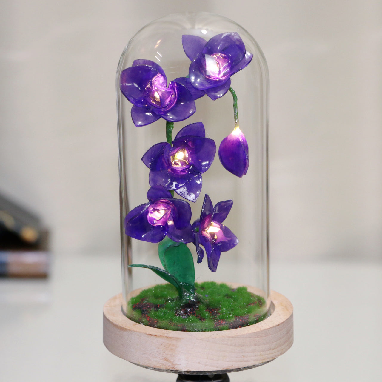 DIY Flower Light - Phalaenopsis