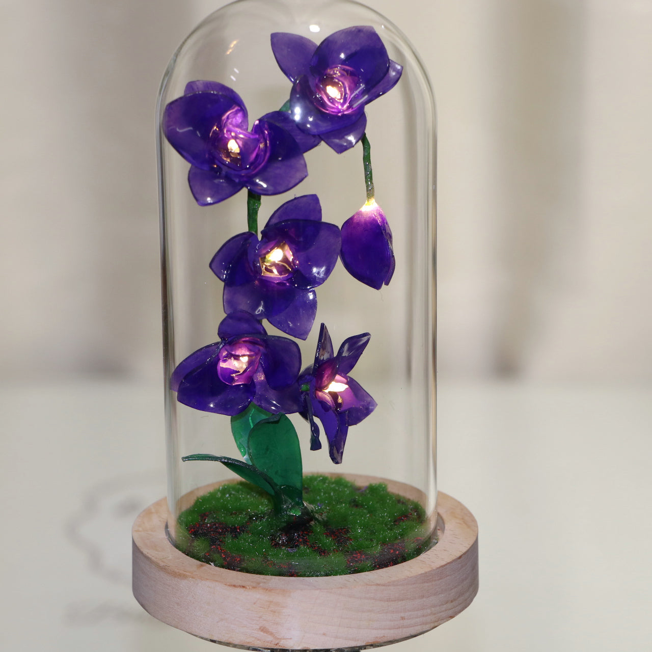 DIY Flower Light - Phalaenopsis