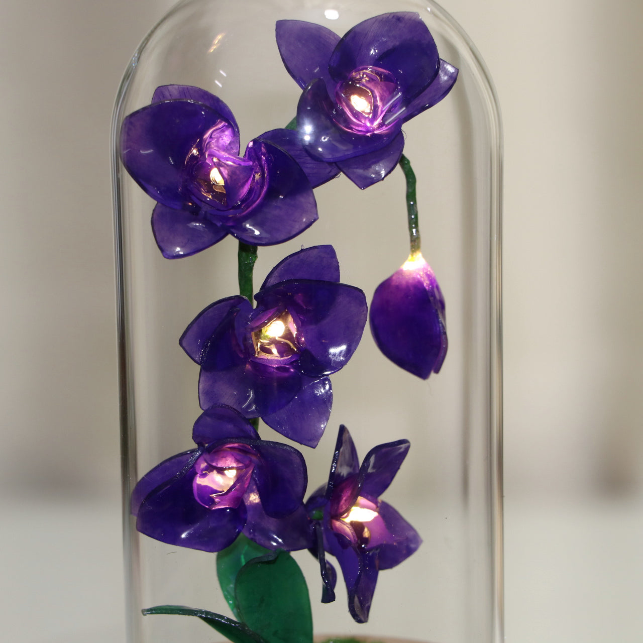 DIY Flower Light - Phalaenopsis