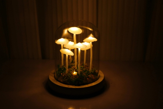 Little Mushroom Night Light