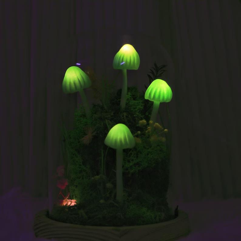 Forest Mushroom Night Light