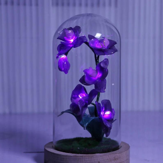 DIY Flower Light - Phalaenopsis