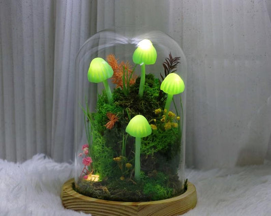 Forest Mushroom Night Light