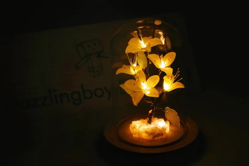 Apricot Blossom Night Light