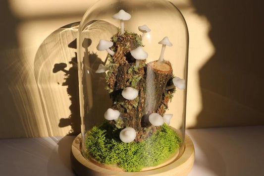 Mushroom On Tree Lamp