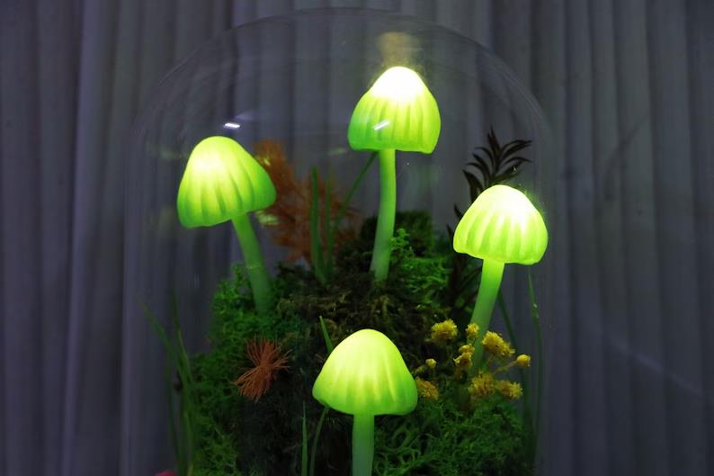 Forest Mushroom Night Light