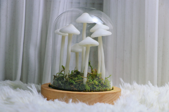 Little Mushroom Night Light