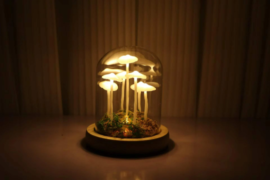 Little Mushroom Night Light