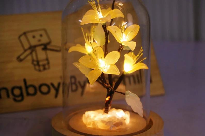 Apricot Blossom Night Light