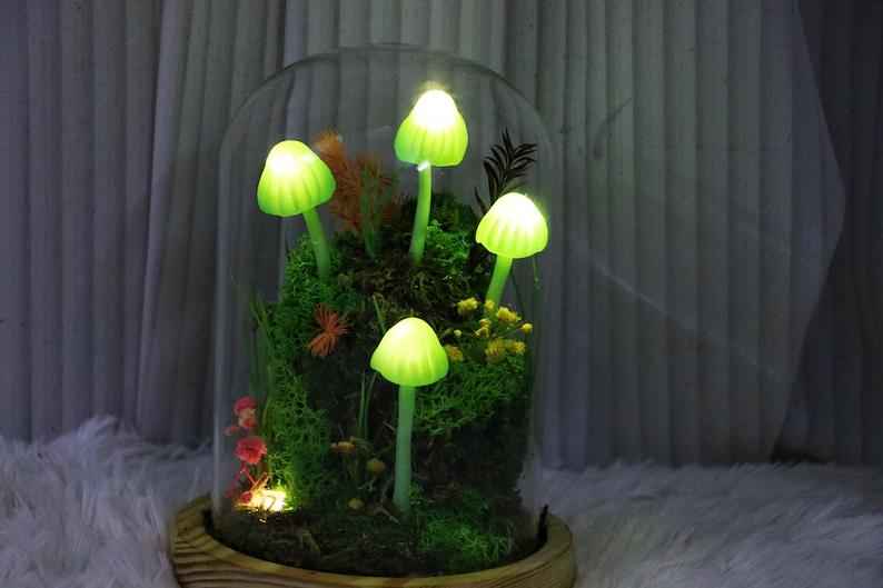 Forest Mushroom Night Light