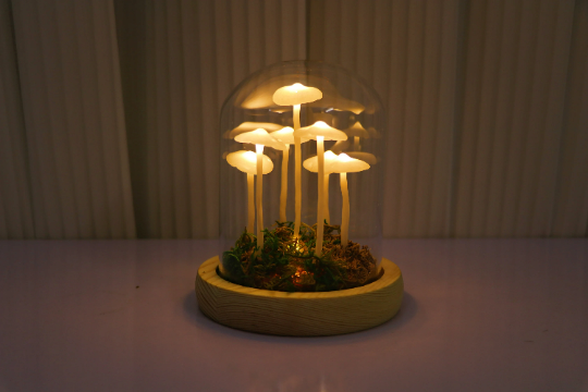 Little Mushroom Night Light
