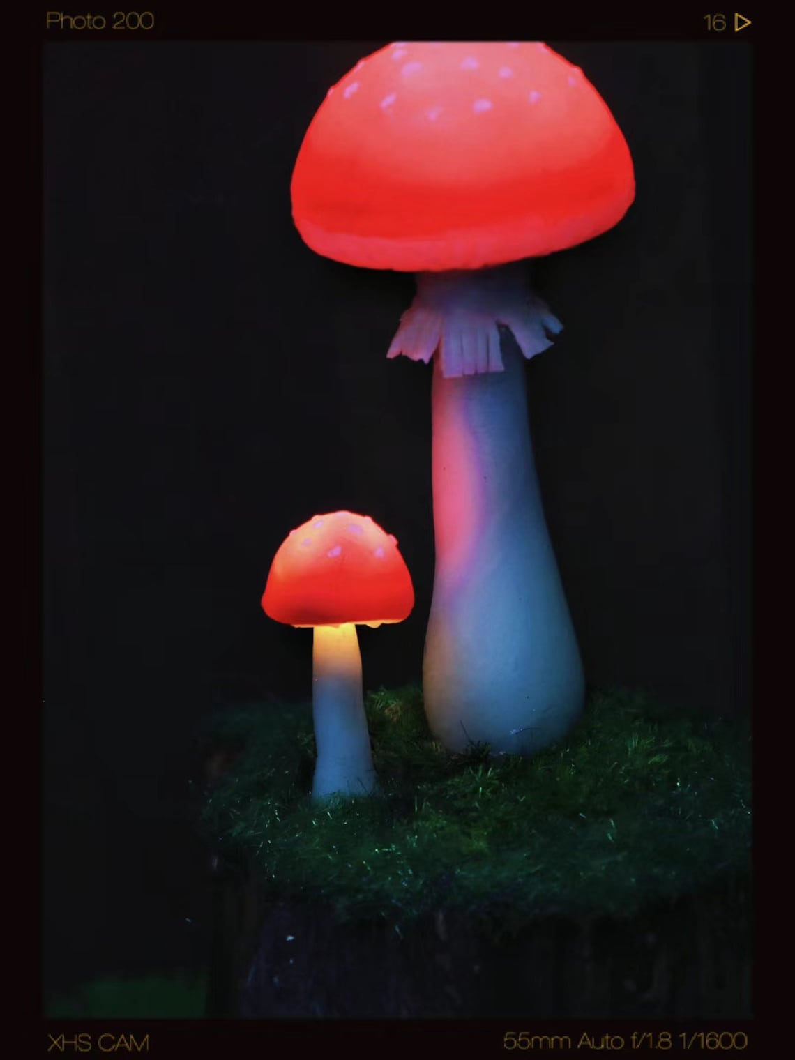 Magic Mushroom Lamp