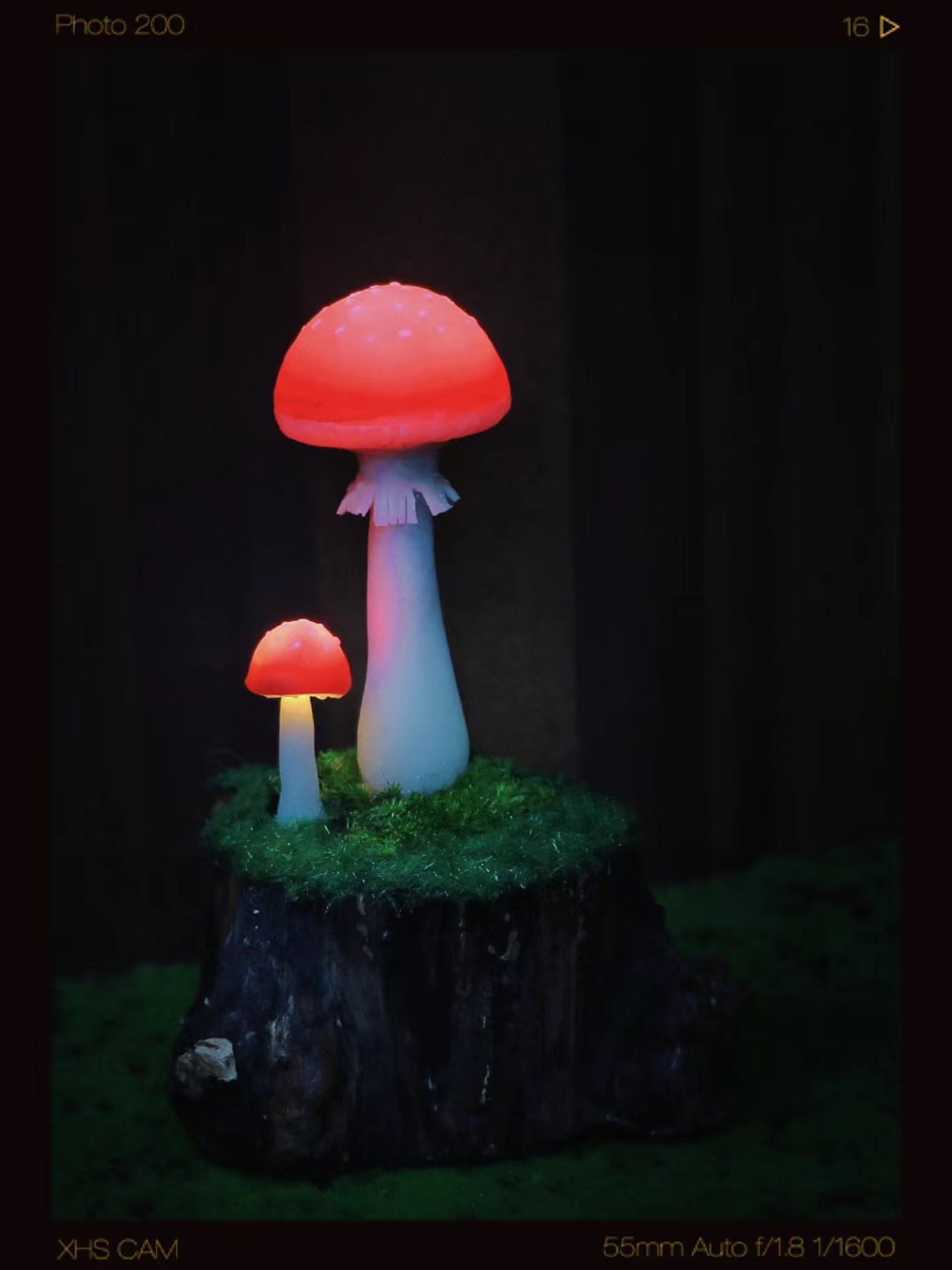 Magic Mushroom Lamp