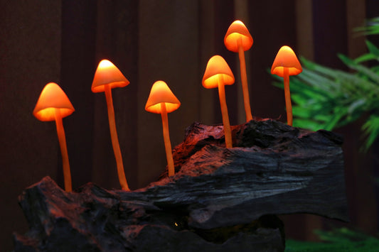 Log Orange Mushroom Lamp