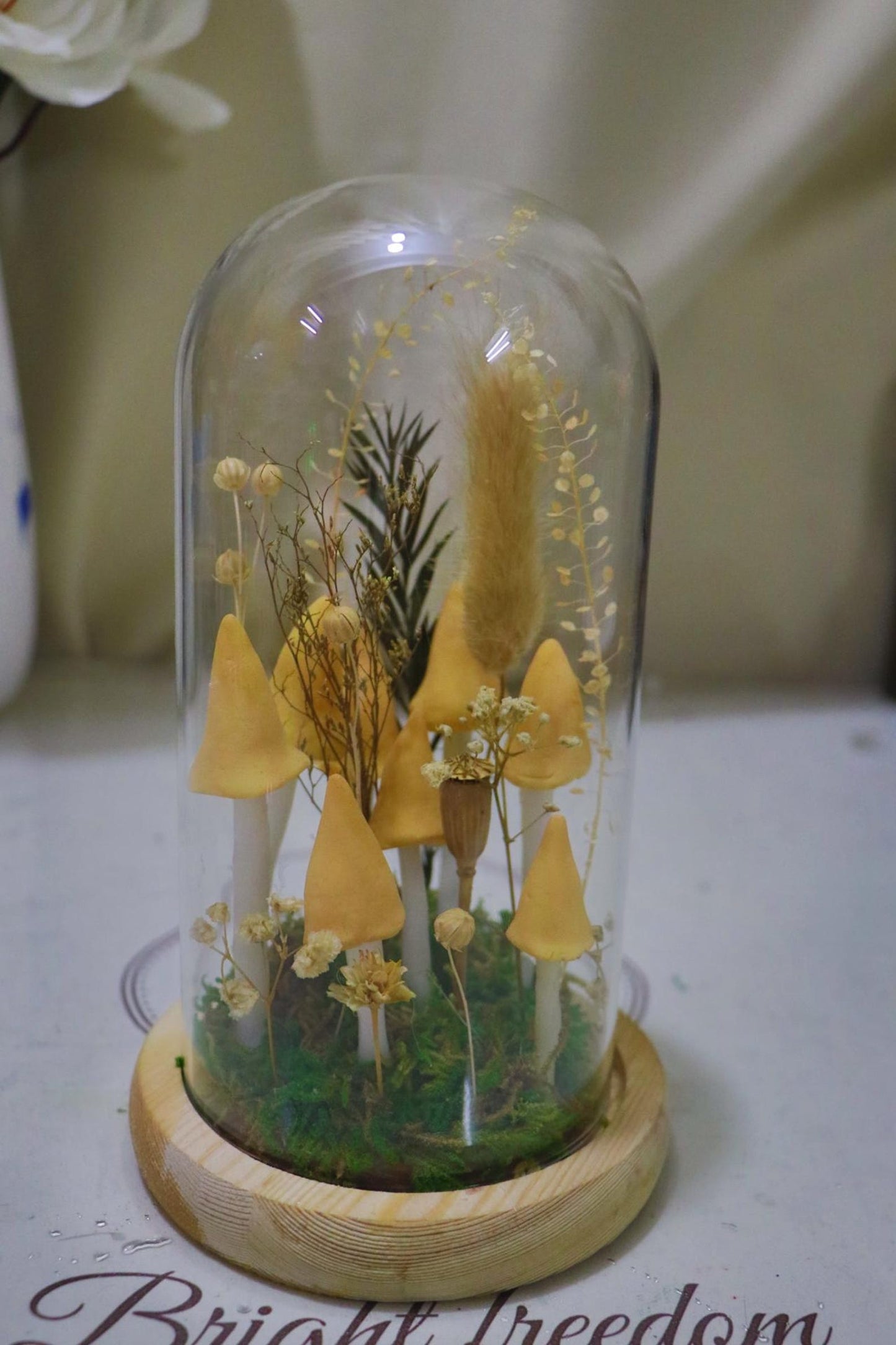 Handmade Yellow Mushroom Glass Dome Night Light, Dried Flower Moss Terrarium Bedside Lamp