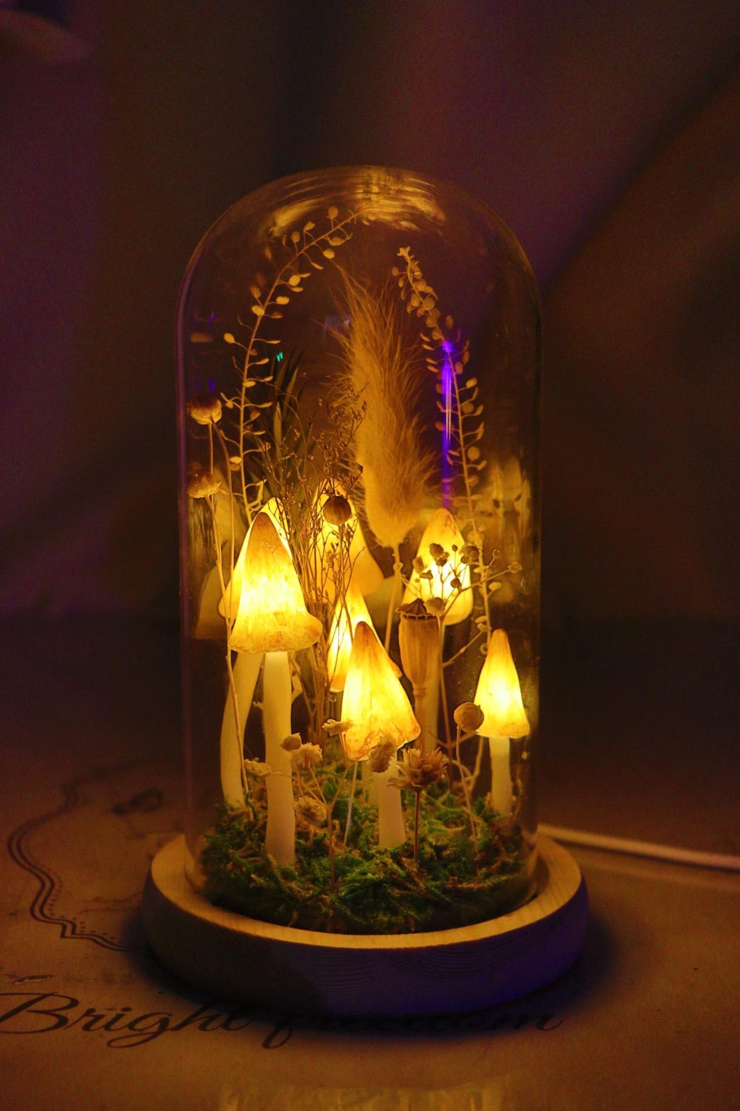Handmade Yellow Mushroom Glass Dome Night Light, Dried Flower Moss Terrarium Bedside Lamp