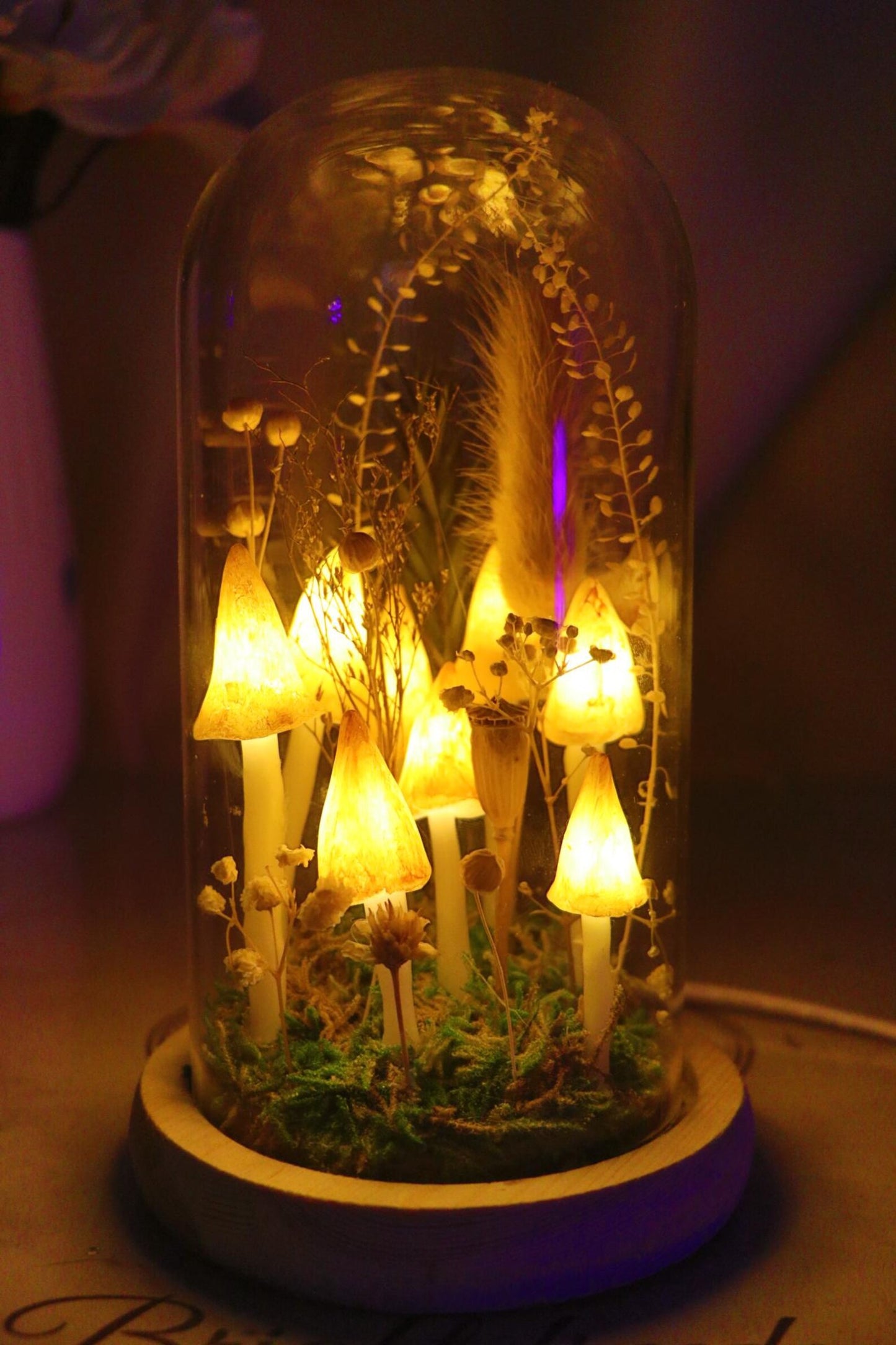 Handmade Yellow Mushroom Glass Dome Night Light, Dried Flower Moss Terrarium Bedside Lamp