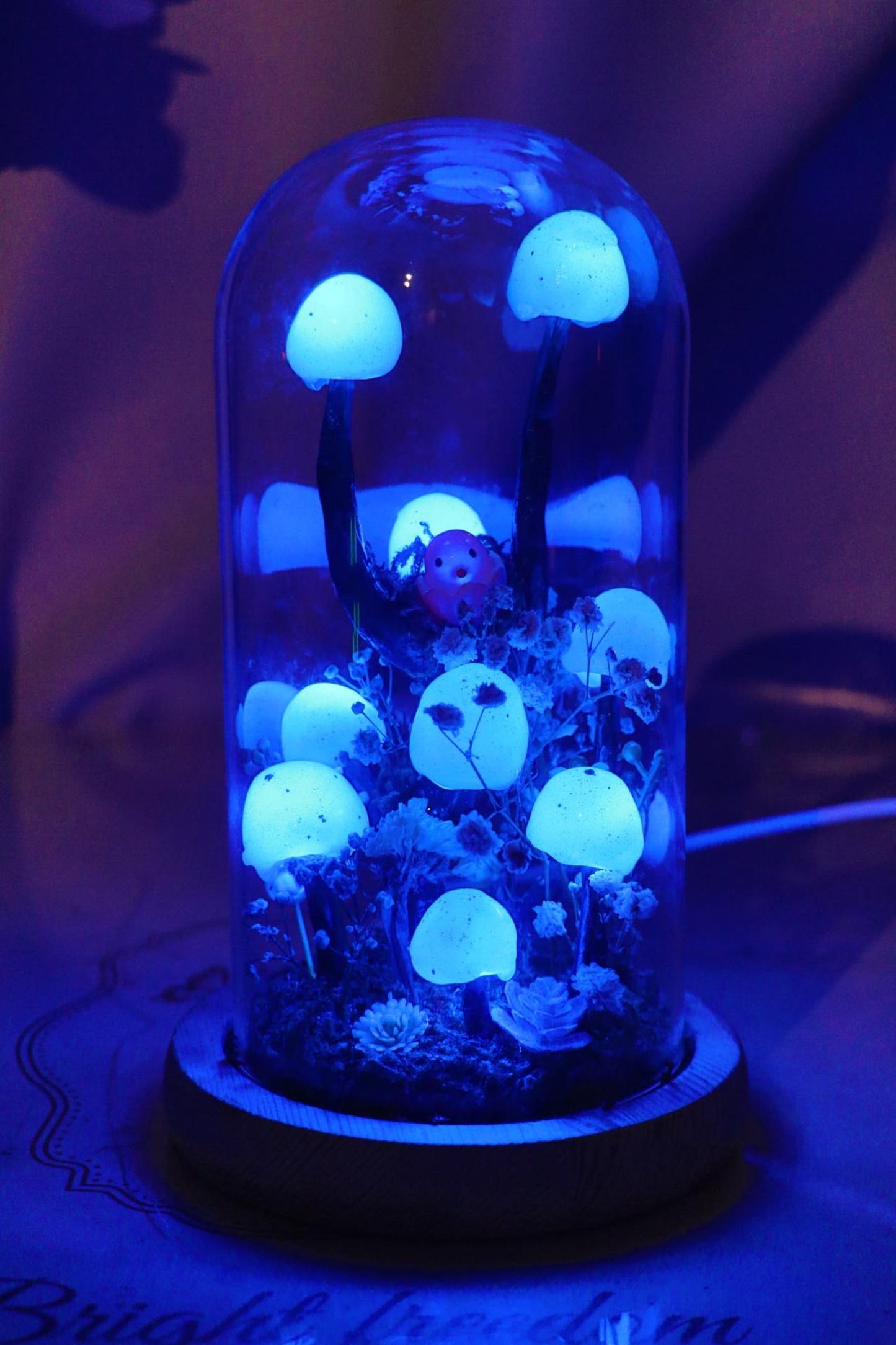 Handmade Blue Mushroom Glass Dome Night Light, Moss Terrarium Bedside Decor Lamp