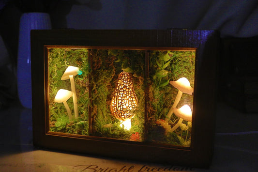 Handmade Morel Mushroom Moss Shadow Box, Cottagecore Woodland Forest Diorama Frame, Whimsical Fairycore Mushroom Wall & Shelf Home Decor Gift