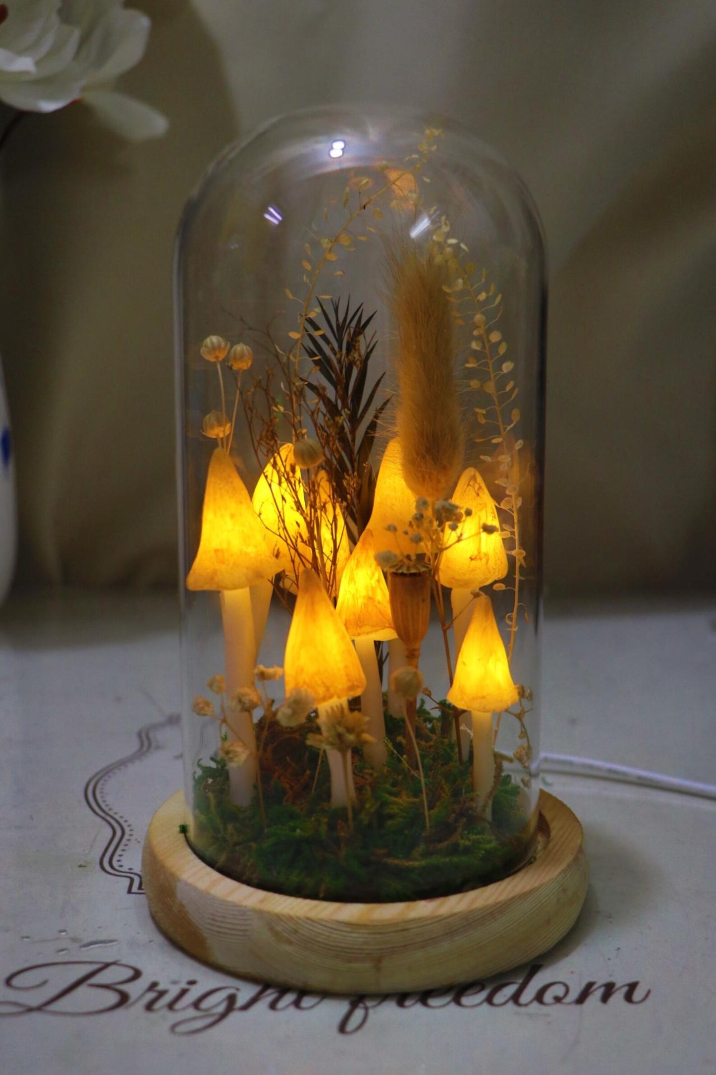 Handmade Yellow Mushroom Glass Dome Night Light, Dried Flower Moss Terrarium Bedside Lamp