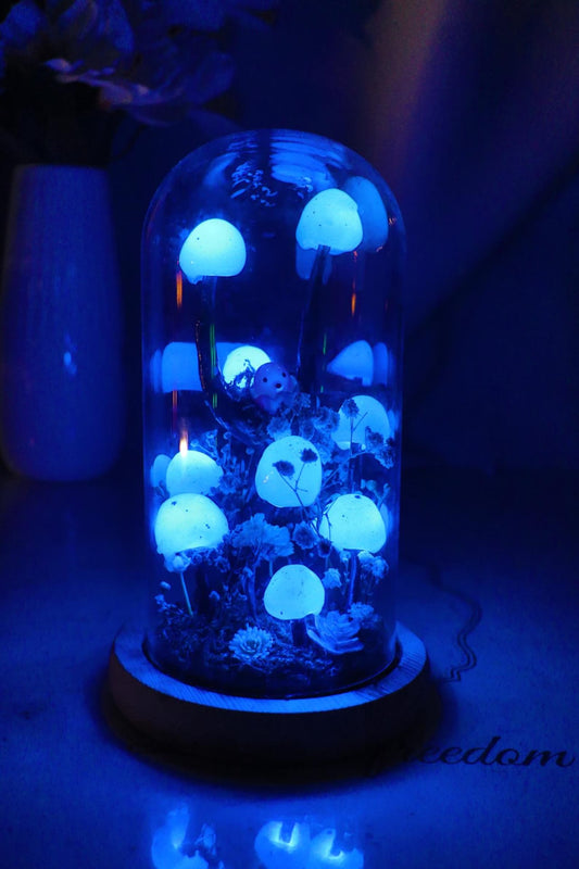 Handmade Blue Mushroom Glass Dome Night Light, Moss Terrarium Bedside Decor Lamp