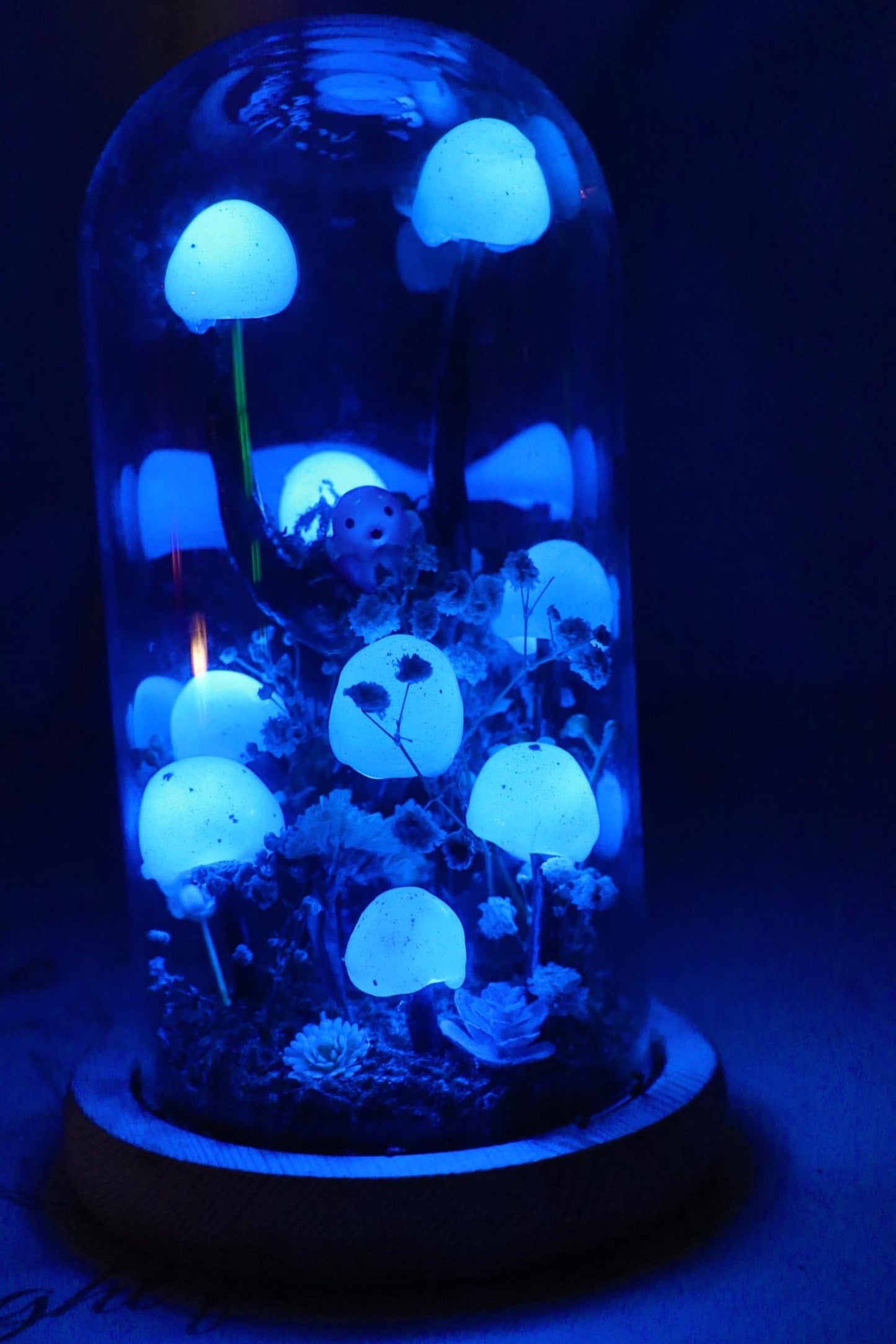 Handmade Blue Mushroom Glass Dome Night Light, Moss Terrarium Bedside Decor Lamp