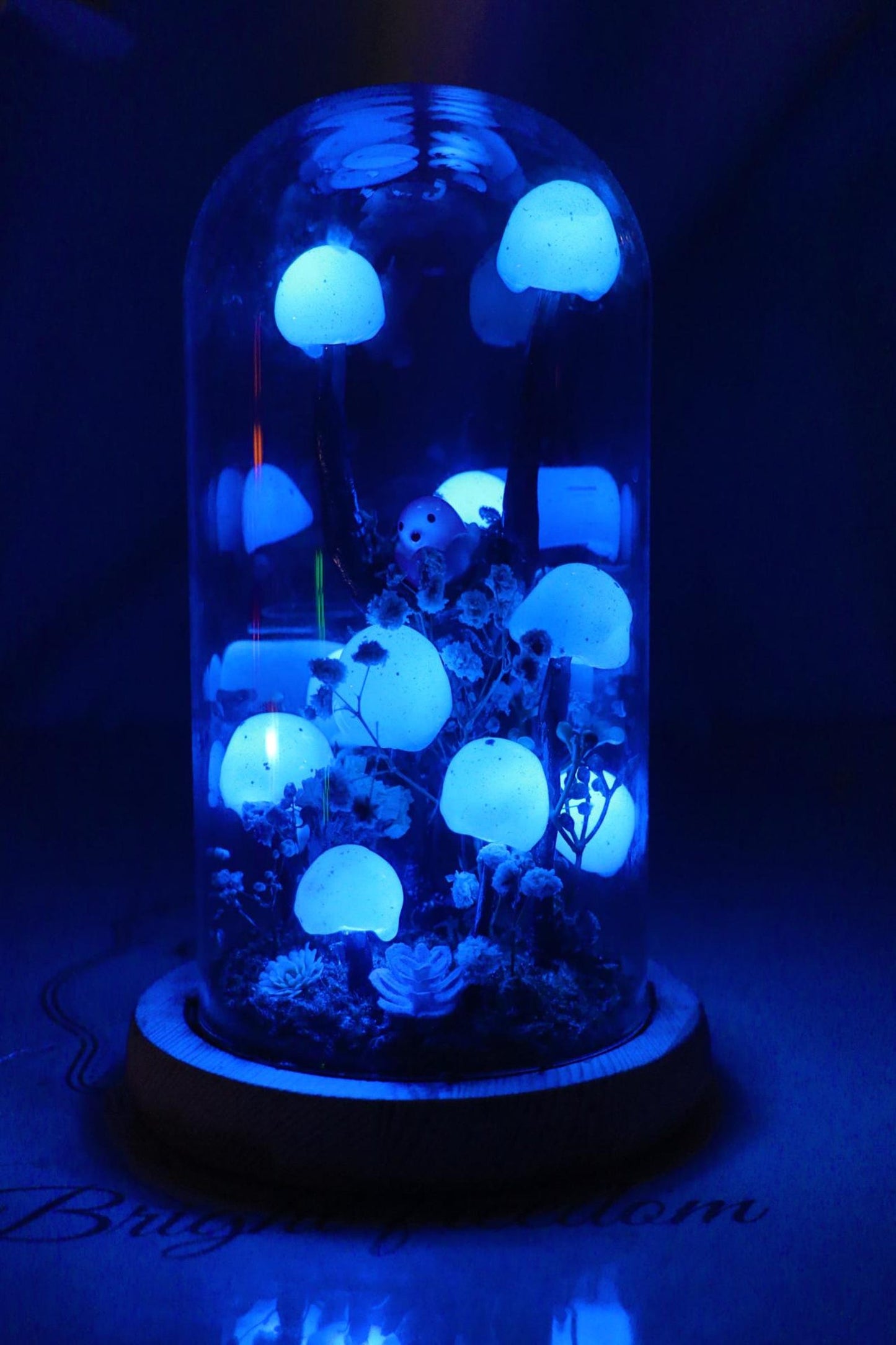 Handmade Blue Mushroom Glass Dome Night Light, Moss Terrarium Bedside Decor Lamp