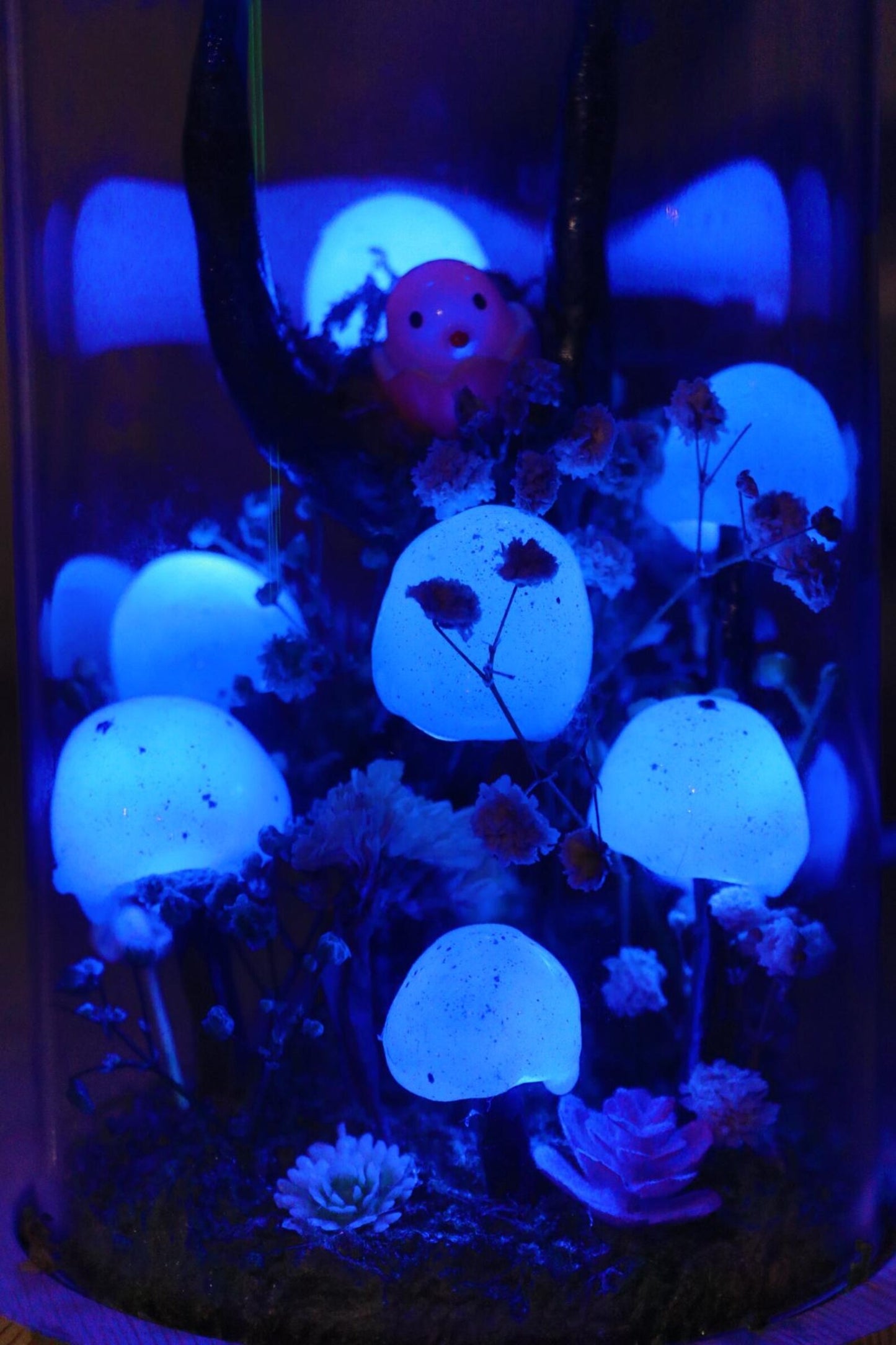Handmade Blue Mushroom Glass Dome Night Light, Moss Terrarium Bedside Decor Lamp